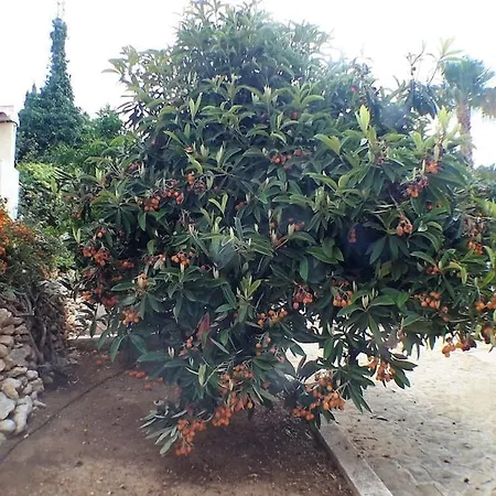 Villa Casa Nuestra